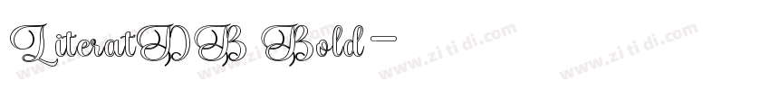 LiteratDB Bold字体转换